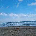 La Casetta All'angolo